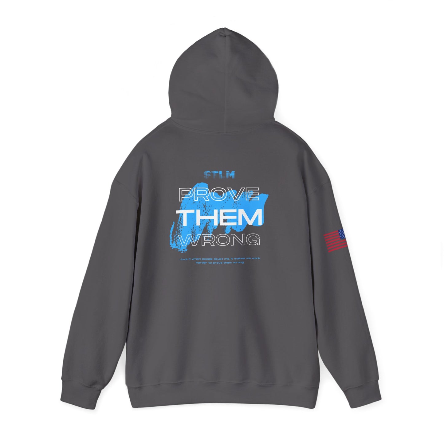 Hooded Sweatshirt - Prove Them Wrong